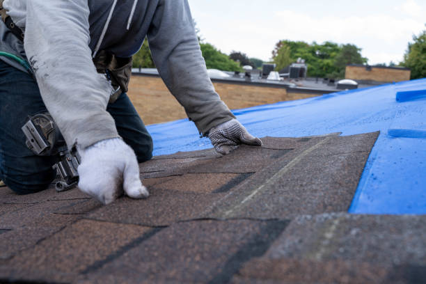 Best Commercial Roofing Services  in Golden Valley, AZ